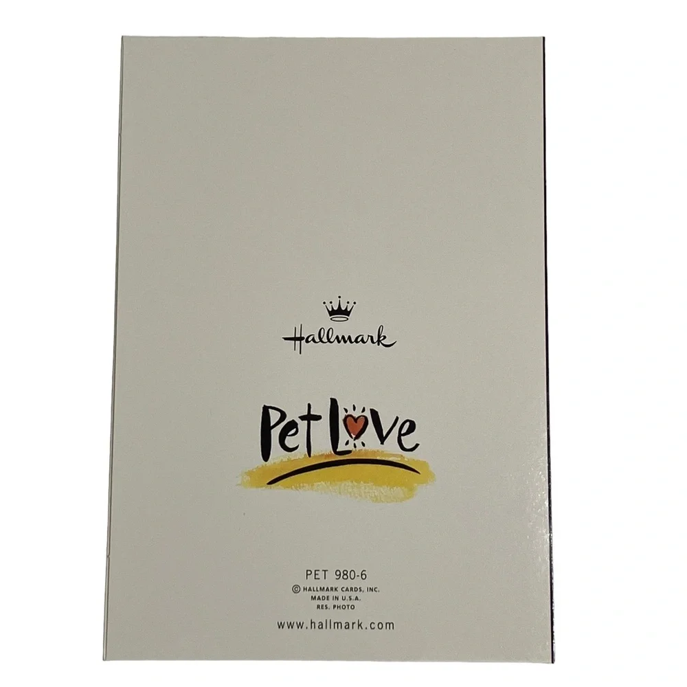 Kitten Cat Blank Hallmark Greeting Card Pet Love Lot of 6 w Envelopes